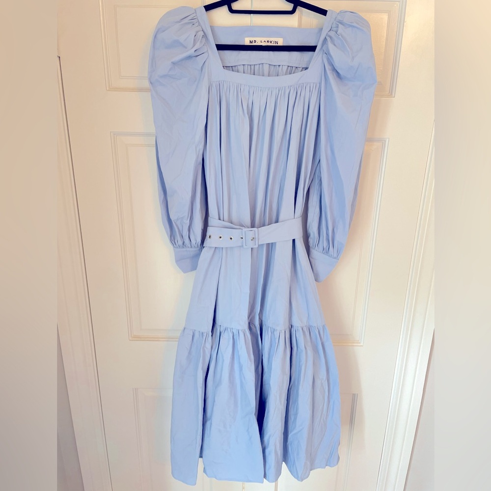 MR. Larkin Long Sleeve Belted Dress